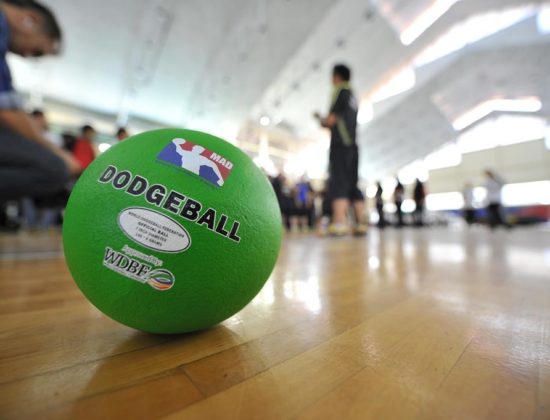 Brunei Dodgeball Association