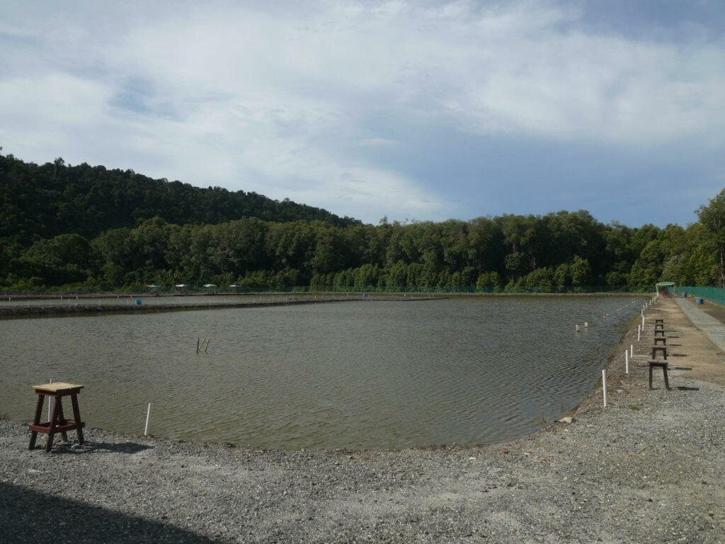 Mangrove Paradise Resort - Photo 3