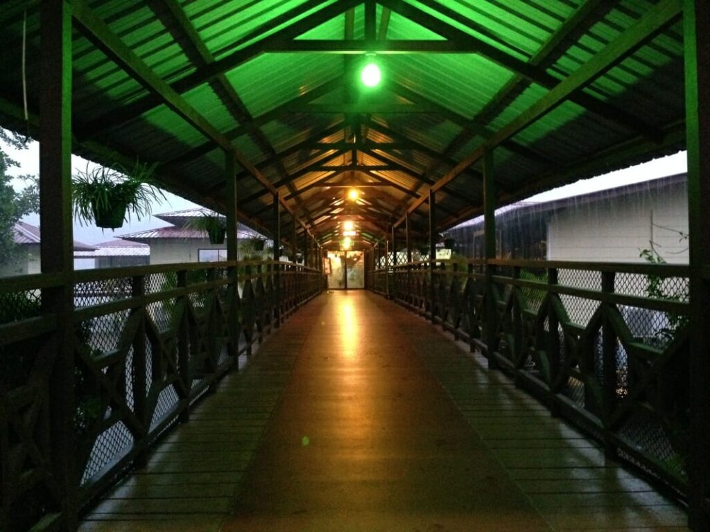 Mangrove Paradise Resort - Photo 7